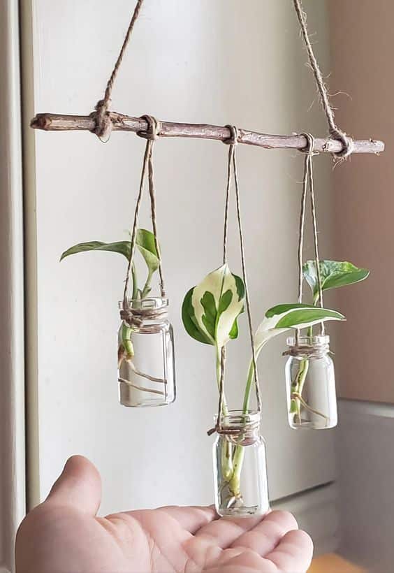 Hanging glass planters with green cuttings on a wooden branch above an open hand, adding a touch of nature to home decor.