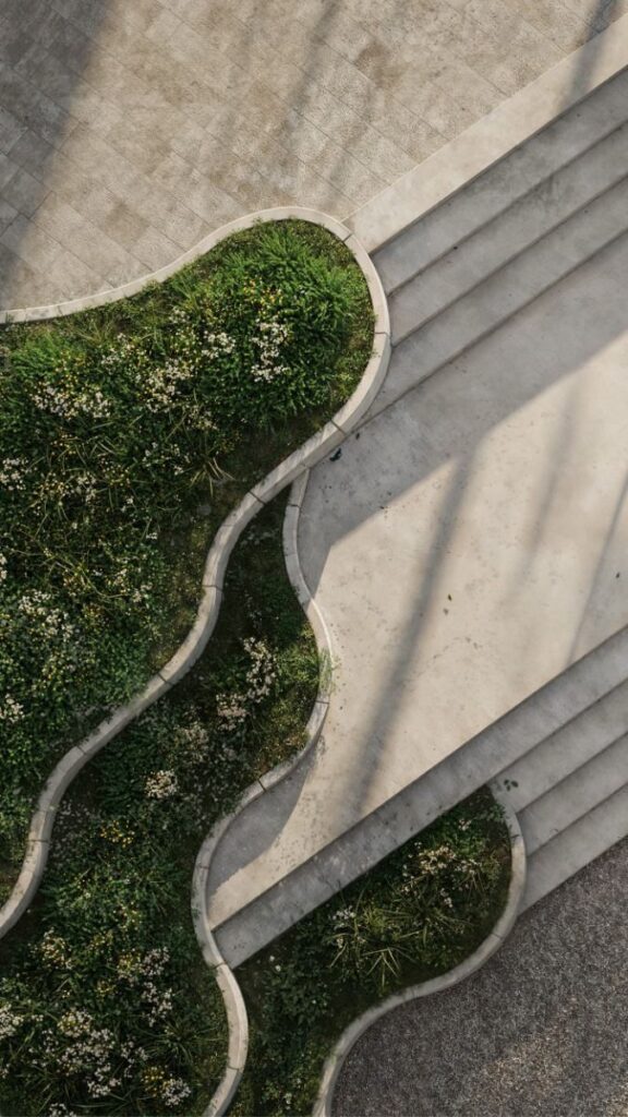 Curved garden with white flowers next to concrete steps, casting shadows on a sunny day.