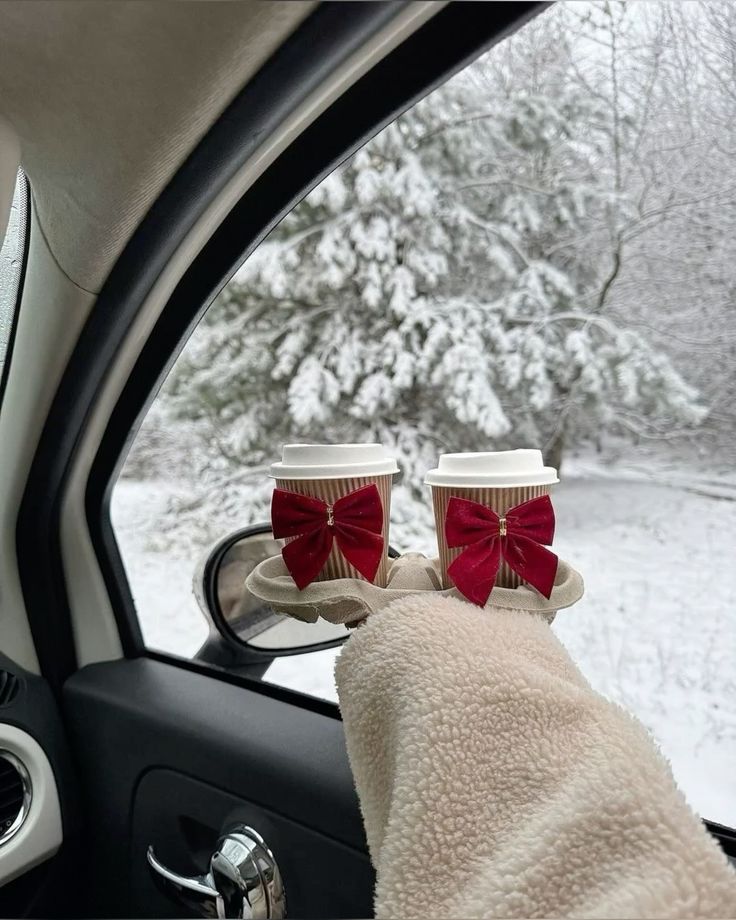 winter | Sky Rye Design