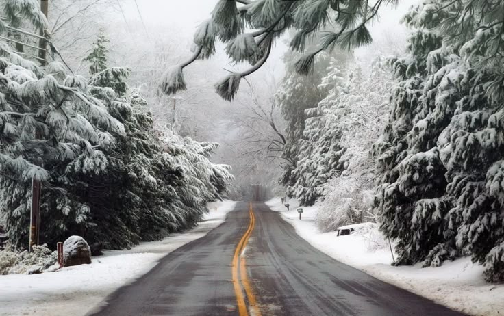 Snow-covered road lined with frosty trees, creating a serene winter landscape under a cloudy sky.