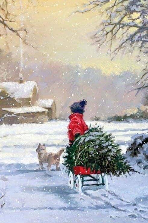 A person in a red coat pulls a sled with a Christmas tree and dog through a snowy landscape at sunset, creating a cozy winter scene.