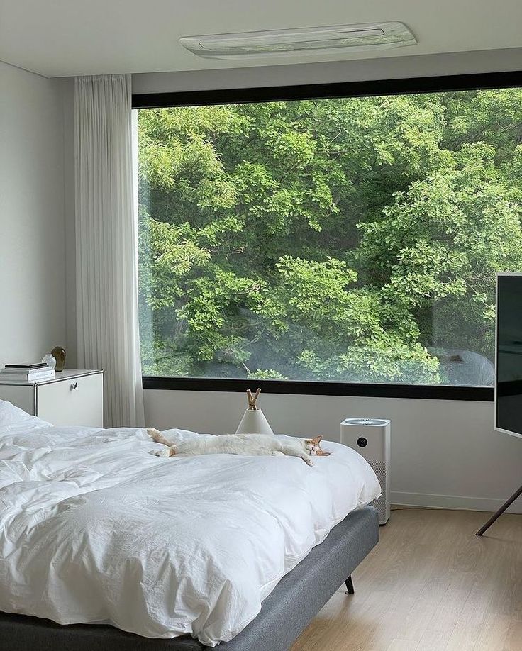 🐇 Modern bedroom with large window view of lush greenery, white bedding, and a relaxed cat on the bed. | Sky Rye Design Modern bedroom with large window view of lush greenery, white bedding, and a relaxed cat on the bed.