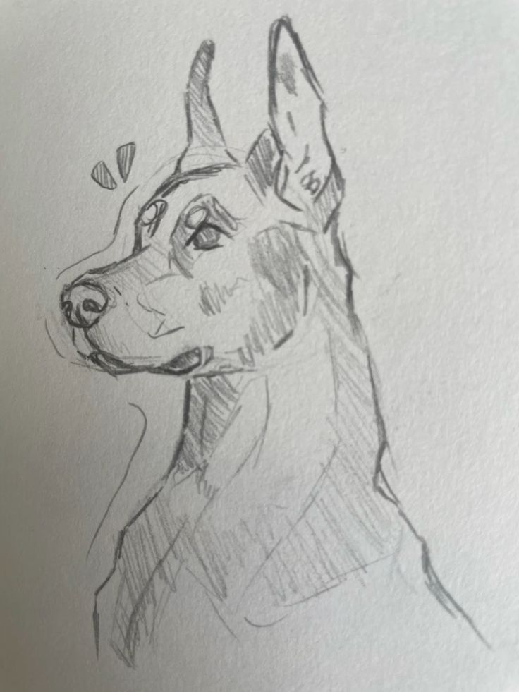 08fea7709dc6171697d2b9982a970d3a Pencil sketch of an alert German Shepherd dog with perked ears, expressive eyes, and detailed fur, capturing a curious and attentive demeanor. | Sky Rye Design Pencil sketch of an alert German Shepherd dog with perked ears, expressive eyes, and detailed fur, capturing a curious and attentive demeanor.