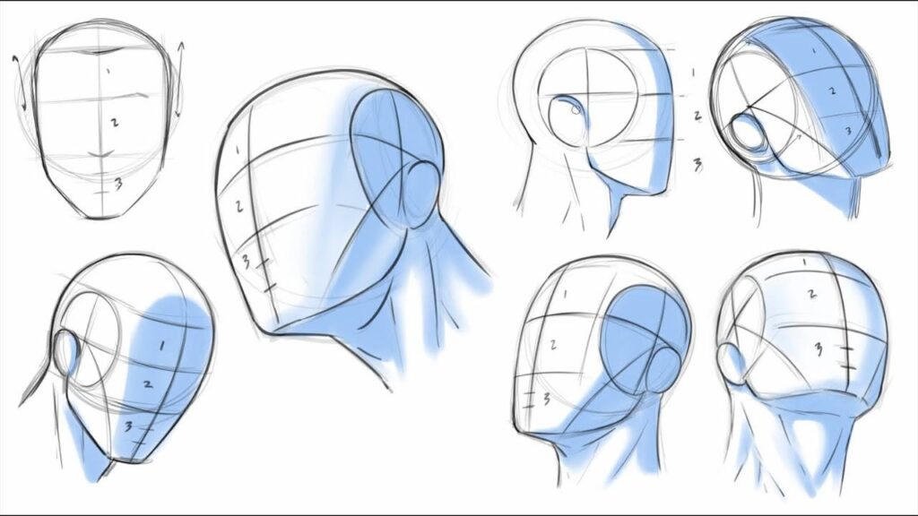 0_GP9lD2L4RPaT0s4Y Illustrated guide showing various angles of the human head, highlighting structure and proportions for drawing practice. | Sky Rye Design Illustrated guide showing various angles of the human head, highlighting structure and proportions for drawing practice.
