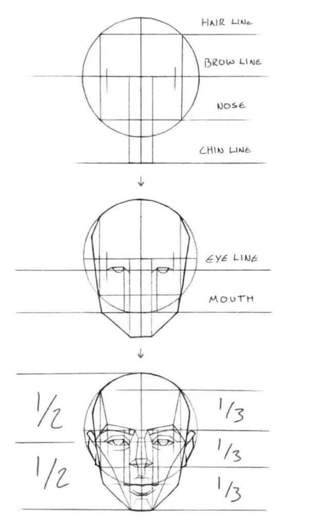 _ 1 Steps to draw a human face: Guidelines for hairline, brow, eyes, nose, mouth, including proportions; 1/2 and 1/3 measurements. | Sky Rye Design Steps to draw a human face: Guidelines for hairline, brow, eyes, nose, mouth, including proportions; 1/2 and 1/3 measurements.