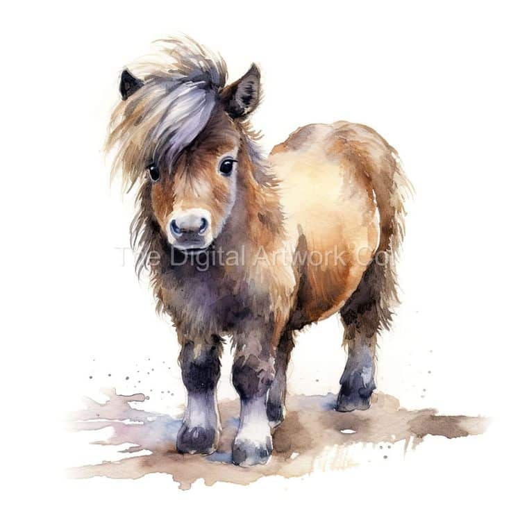 12 Designs of Shetland Ponies Clip Art 12 High Quality Jpgs - Etsy UK Watercolor painting of a cute Shetland pony with flowing mane standing on a white background. Perfect for animal art lovers. | Sky Rye Design Watercolor painting of a cute Shetland pony with flowing mane standing on a white background. Perfect for animal art lovers.
