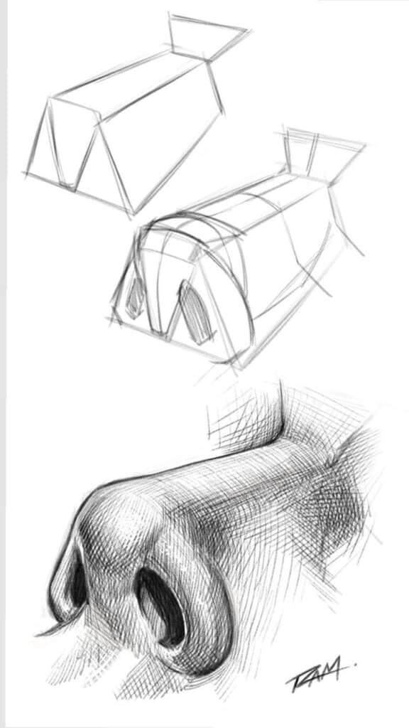 Sketch of a nose with geometric guidelines, showcasing artistic drawing techniques and structure detail for realistic illustration.