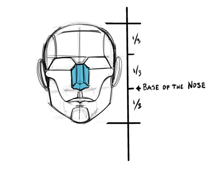 _ 16 Sketch of a face with gridlines showing facial proportions, highlighting the base of the nose in blue, divided into equal thirds vertically. | Sky Rye Design Sketch of a face with gridlines showing facial proportions, highlighting the base of the nose in blue, divided into equal thirds vertically.