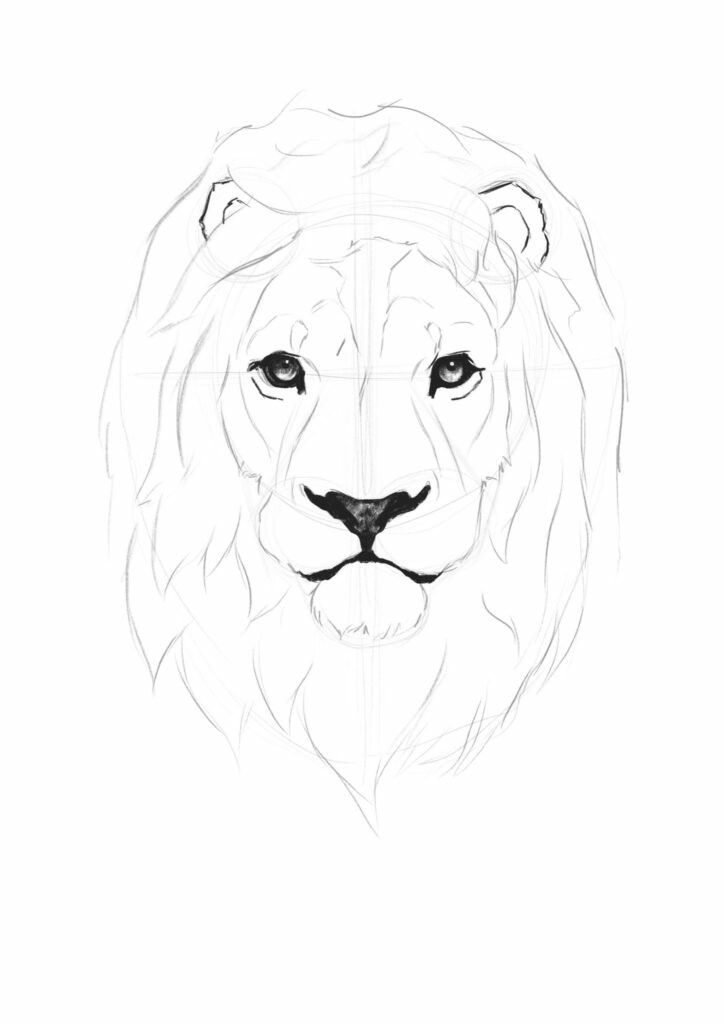 16daa7005482748eabfdcf9d9aa5b167 Pencil sketch of a lion's face showing detailed features and majestic mane on a white background. | Sky Rye Design Pencil sketch of a lion's face showing detailed features and majestic mane on a white background.
