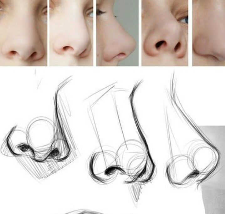 _ 18 Nose anatomy reference with photos and sketches, illustrating side views and artistic drawing techniques for realistic representation. | Sky Rye Design Nose anatomy reference with photos and sketches, illustrating side views and artistic drawing techniques for realistic representation.