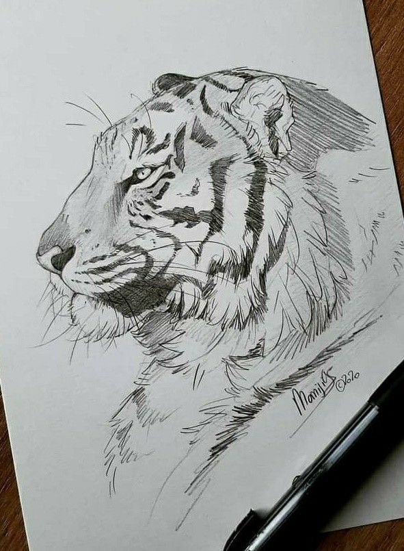 1a235c49-4767-4297-86e8-e4a0a9754dc0 | Sky Rye Design