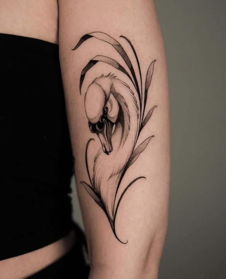 20 Captivating Swan Tattoos For A Graceful Appearance Elegant swan tattoo on arm with intricate black ink detailing and graceful feather accents. | Sky Rye Design Elegant swan tattoo on arm with intricate black ink detailing and graceful feather accents.