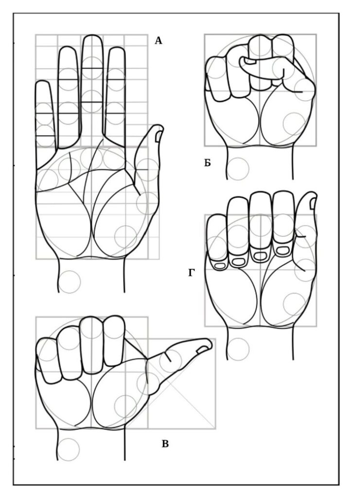 Geometric analysis of hand gestures, showing open palm, fist, thumbs up, and closed fingers with circles and grids for design precision.