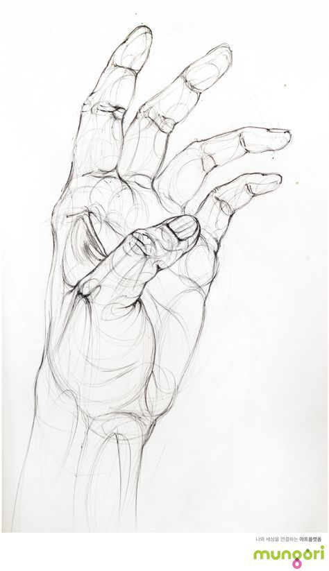 Pencil sketch of a detailed hand with extended fingers on a white background, showcasing realistic anatomy and artistic technique.