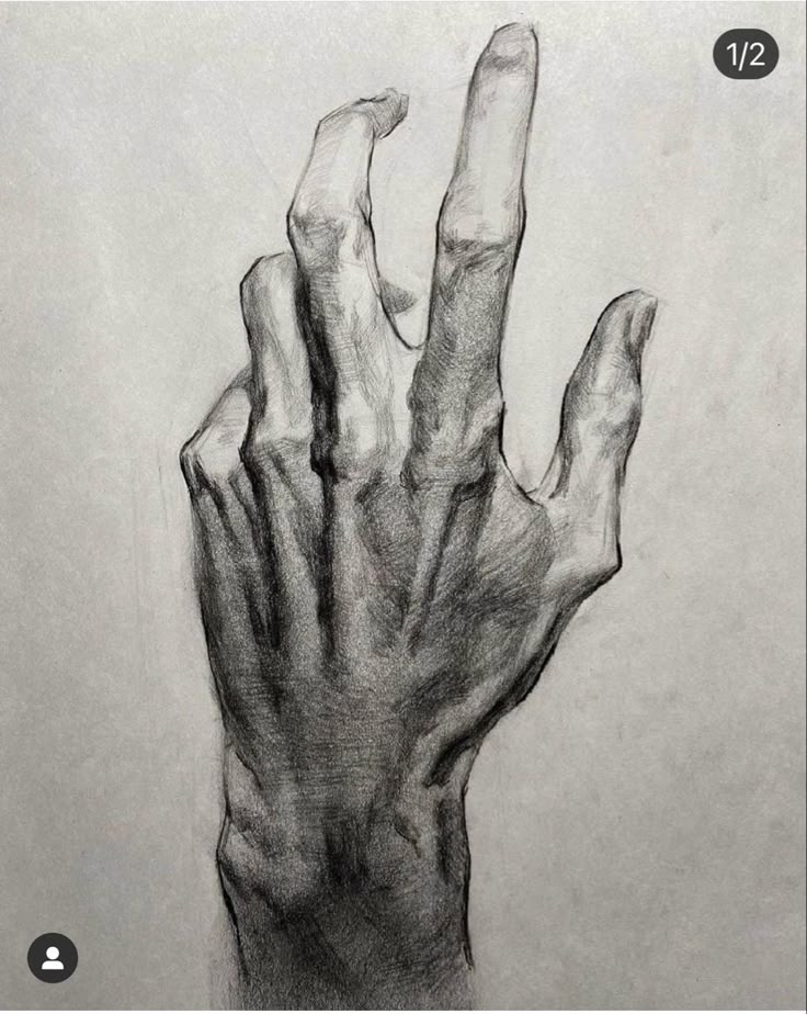 Detailed pencil sketch of a hand with fingers gracefully extended, showcasing intricate shading and realistic texture.