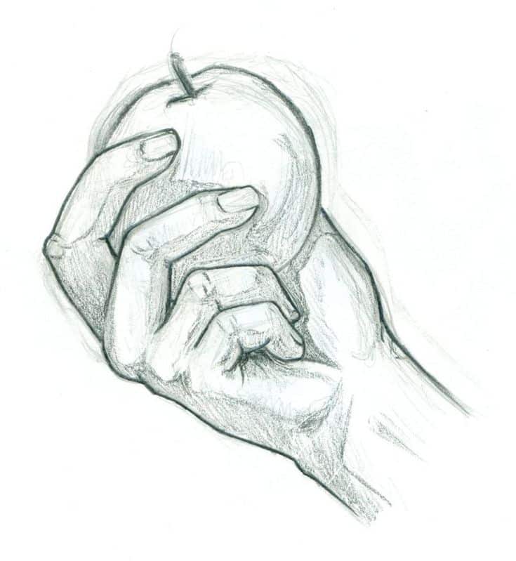 Pencil sketch of a hand elegantly holding an apple, showcasing detailed shading and realistic anatomy. Ideal for art and drawing concepts.