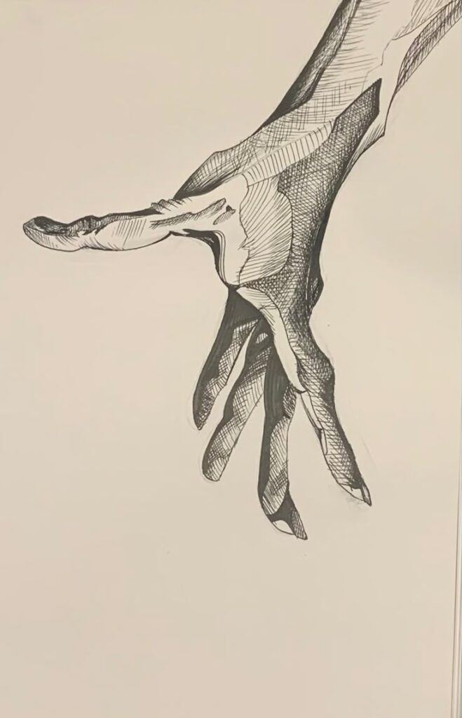 Sketch of an outstretched hand with detailed shading on a blank background. Realistic anatomy drawing.
