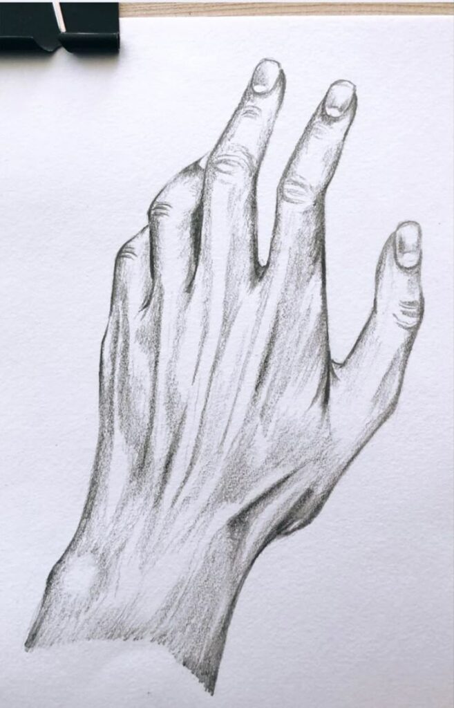 Sketch of a detailed human hand, showcasing realistic shading and texture, emphasizing artistic anatomy and drawing skills.