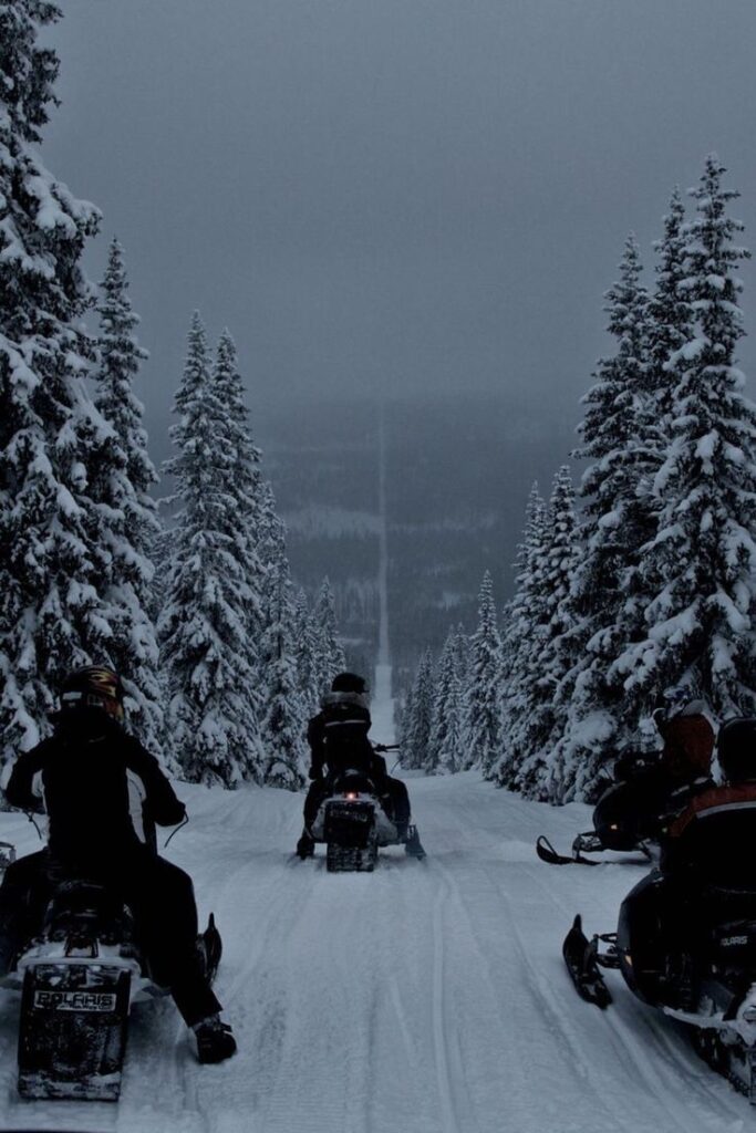 Snowmobilers ride through a snowy forest trail under a grey sky, surrounded by tall, snow-covered trees. Winter adventure in the wilderness.