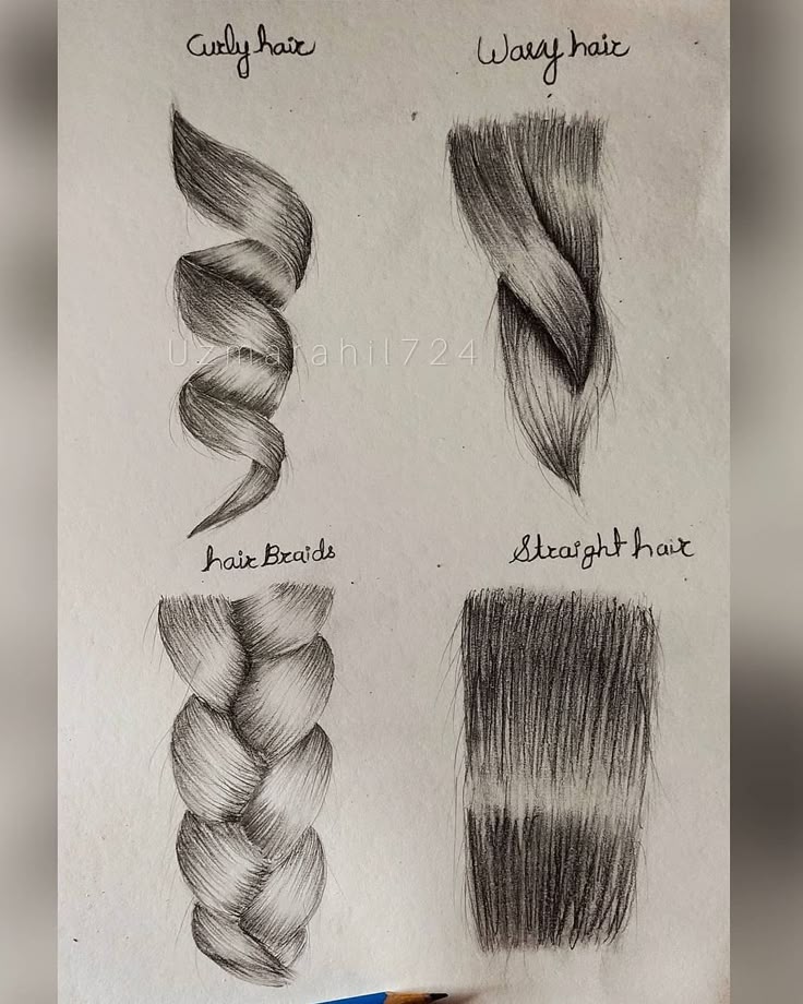 _ - 2025-12-05T155816606 Illustration of four hair types: curly, wavy, braided, and straight. Each is sketched with detailed pencil shading on paper. | Sky Rye Design Illustration of four hair types: curly, wavy, braided, and straight. Each is sketched with detailed pencil shading on paper.