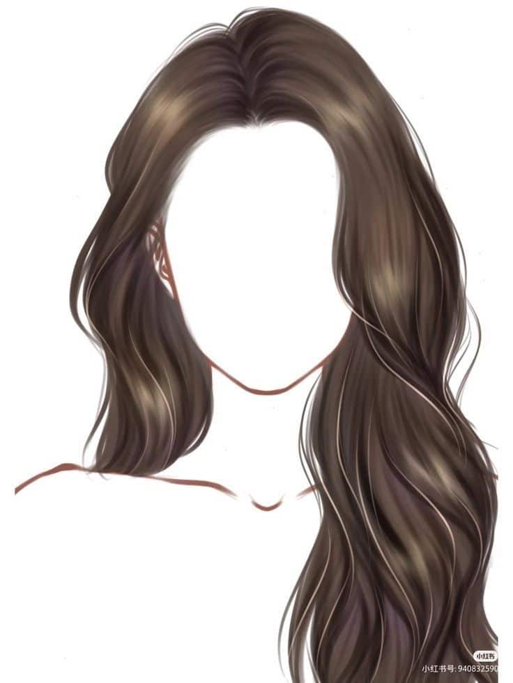 _ - 2025-12-05T164126201 Illustrated female figure with long, wavy brown hair on a white background, no facial features depicted. | Sky Rye Design Illustrated female figure with long, wavy brown hair on a white background, no facial features depicted.