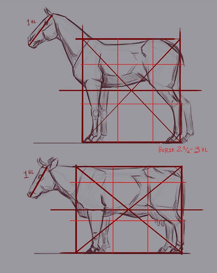 _ - 2025-12-10T124636391 Sketch of a horse and cow with grid lines for anatomical proportions, highlighting structural differences in equine and bovine anatomy. | Sky Rye Design Sketch of a horse and cow with grid lines for anatomical proportions, highlighting structural differences in equine and bovine anatomy.