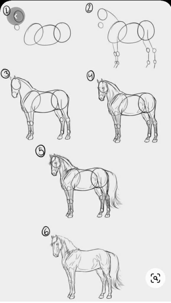 _ - 2025-12-10T125008094 Step-by-step guide on how to draw a horse, starting from basic shapes to a detailed sketch in six stages. | Sky Rye Design Step-by-step guide on how to draw a horse, starting from basic shapes to a detailed sketch in six stages.