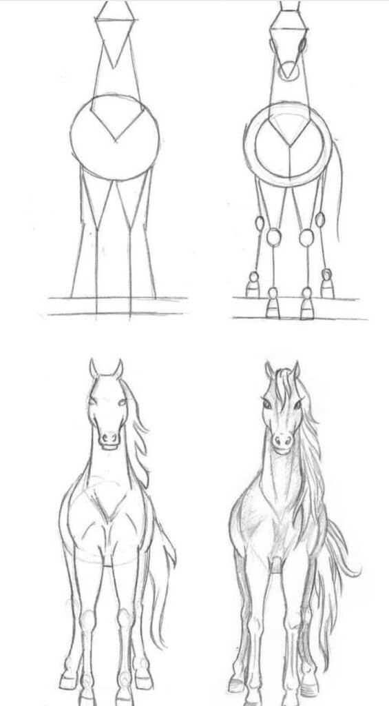 _ - 2025-12-10T125107365 Horse drawing tutorial: step-by-step guide from basic shapes to detailed sketches, illustrating front view anatomy for artists. | Sky Rye Design Horse drawing tutorial: step-by-step guide from basic shapes to detailed sketches, illustrating front view anatomy for artists.