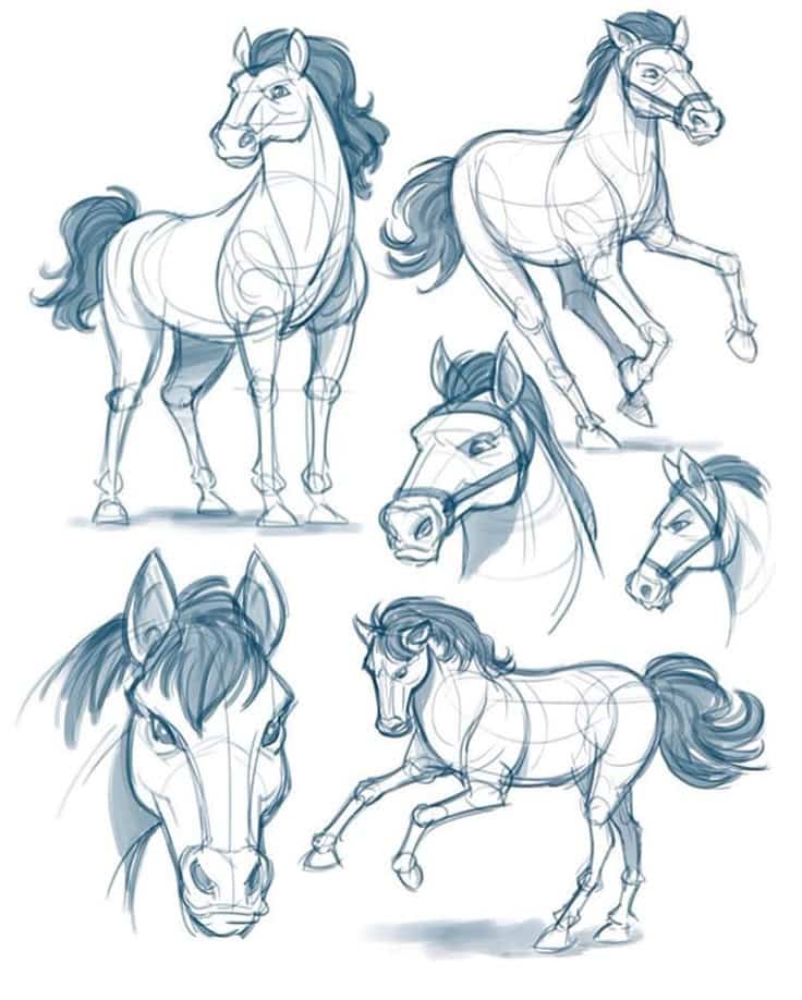_ - 2025-12-10T125250189 Sketches of cartoon horses in various poses and angles, with detailed focus on anatomy and expression. Perfect for animation studies. | Sky Rye Design Sketches of cartoon horses in various poses and angles, with detailed focus on anatomy and expression. Perfect for animation studies.