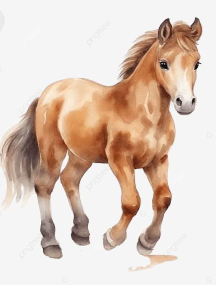 _ - 2025-12-10T132108846 Watercolor painting of a brown horse trotting gracefully, showcasing detailed artistry and soft, natural tones on a white background. | Sky Rye Design Watercolor painting of a brown horse trotting gracefully, showcasing detailed artistry and soft, natural tones on a white background.