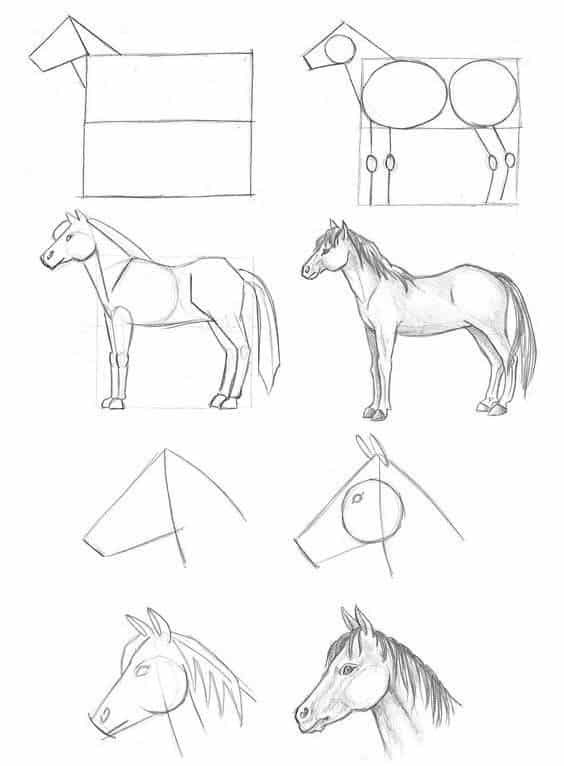 _ - 2025-12-10T132221594 Step-by-step horse drawing tutorial, showcasing progression from basic shapes to detailed sketch, including head and body formation. | Sky Rye Design Step-by-step horse drawing tutorial, showcasing progression from basic shapes to detailed sketch, including head and body formation.