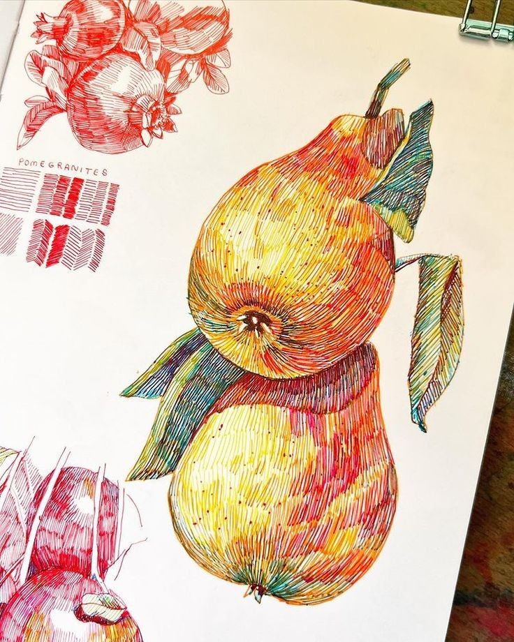 _ - 2025-12-12T161441947 Colorful pen illustrations of a pear and pomegranates on paper, showcasing intricate details and vibrant shades in an artistic style. | Sky Rye Design Colorful pen illustrations of a pear and pomegranates on paper, showcasing intricate details and vibrant shades in an artistic style.