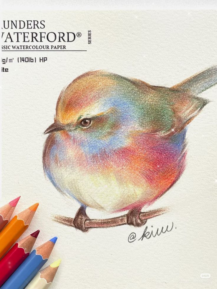 _ - 2025-12-12T163543211 Colorful bird illustration on watercolor paper with colored pencils nearby. Perfect for vibrant art inspirations and creative projects. | Sky Rye Design Colorful bird illustration on watercolor paper with colored pencils nearby. Perfect for vibrant art inspirations and creative projects.