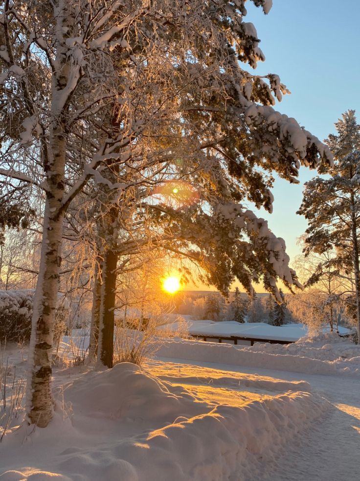 _ - 2025-12-28T134315136 Sunrise over a snowy winter landscape, with sunlit trees and a clear blue sky creating a serene and peaceful scene. | Sky Rye Design Sunrise over a snowy winter landscape, with sunlit trees and a clear blue sky creating a serene and peaceful scene.
