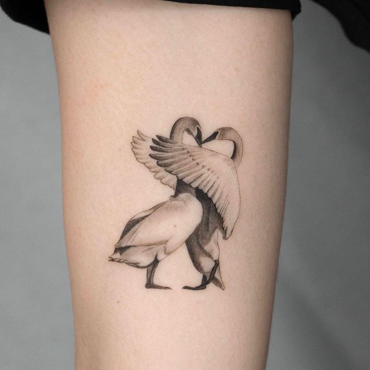 _ - 2025-12-28T164739551 Tattoo of two swans forming a heart shape with their necks, symbolizing love and unity, inked on a person's skin. | Sky Rye Design Tattoo of two swans forming a heart shape with their necks, symbolizing love and unity, inked on a person's skin.