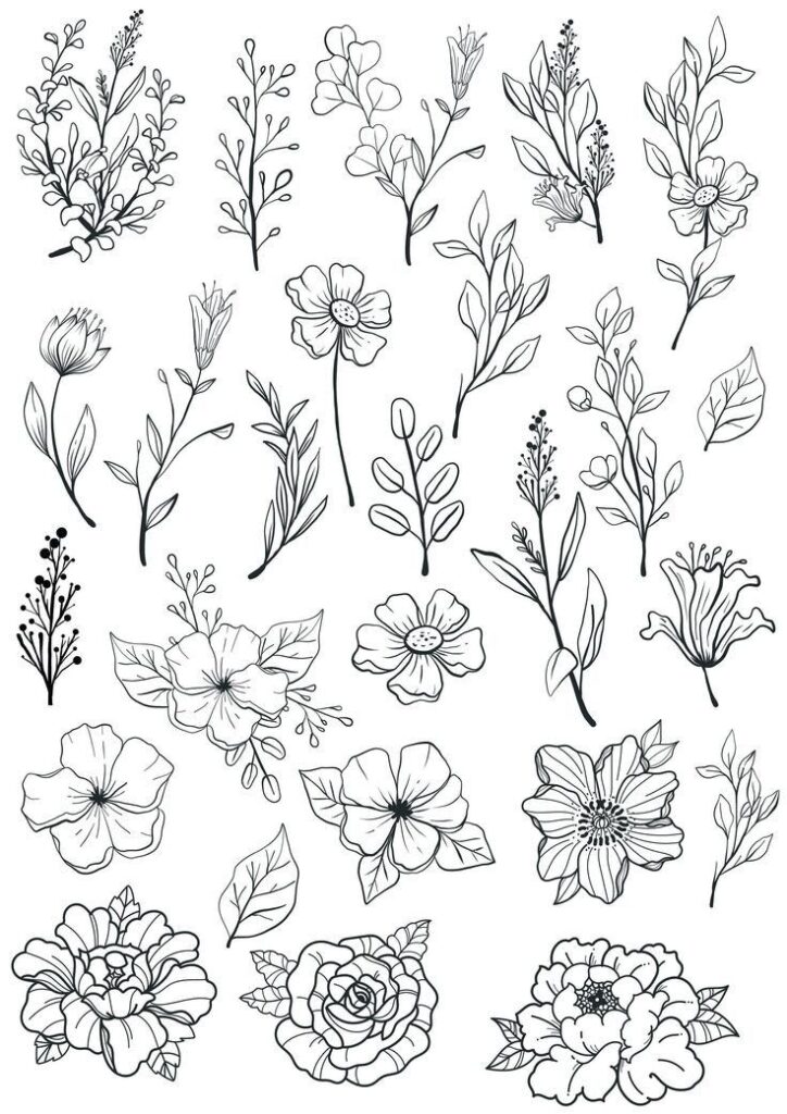 _ - 2025-12-30T113437237 Black and white floral line art collection featuring various flowers and leaves, perfect for botanical illustrations and design projects. | Sky Rye Design Black and white floral line art collection featuring various flowers and leaves, perfect for botanical illustrations and design projects.