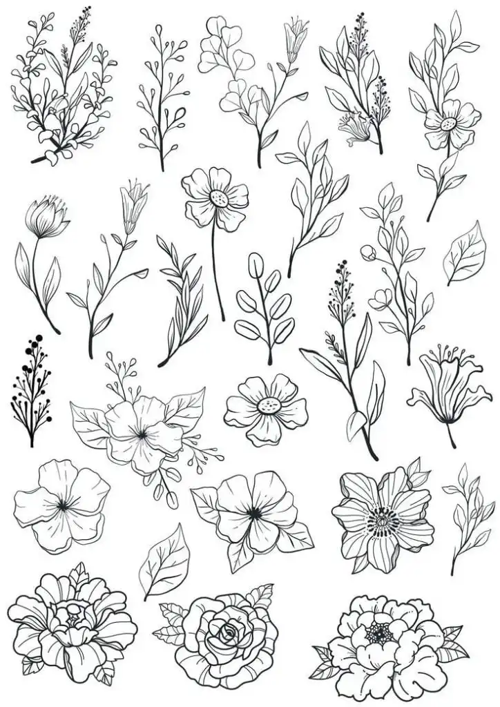 Black and white floral line art collection featuring various flowers and leaves, perfect for botanical illustrations and design projects.
