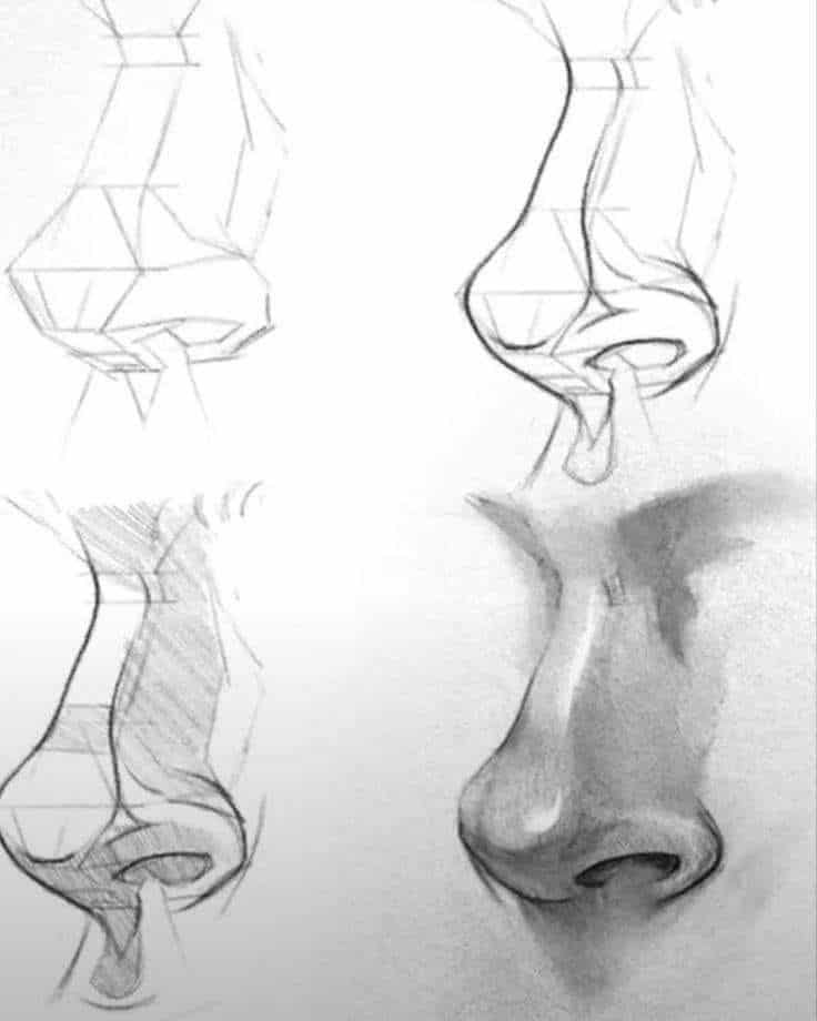 _ 21 Step-by-step pencil sketches of a nose showing geometric breakdown, shading, and realism techniques in drawing facial features. | Sky Rye Design Step-by-step pencil sketches of a nose showing geometric breakdown, shading, and realism techniques in drawing facial features.