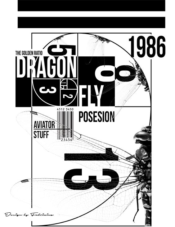 Abstract black and white design poster featuring a dragonfly, geometric patterns, text elements, and the year 1986.