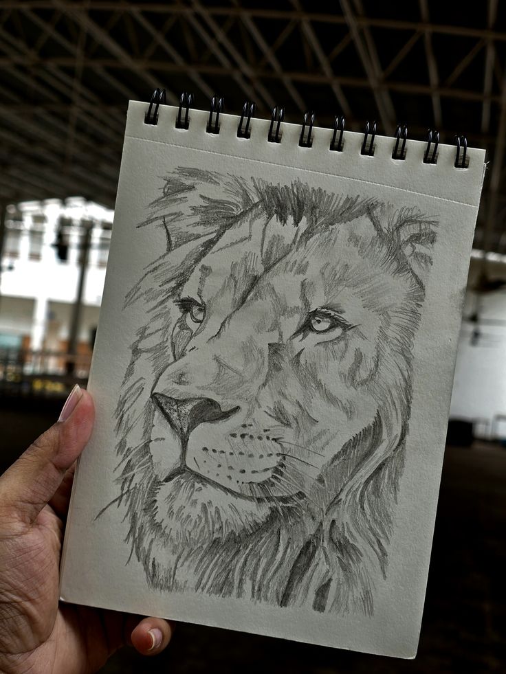 3155acceb2c2ce971c93b2e896867523 Hand holding a sketchbook with a detailed pencil drawing of a lion's face, set against a blurred indoor background. | Sky Rye Design Hand holding a sketchbook with a detailed pencil drawing of a lion's face, set against a blurred indoor background.