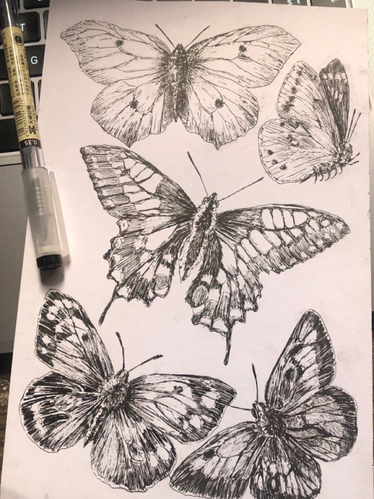 Detailed black ink butterfly sketches on paper next to a pen, set atop a laptop keyboard.