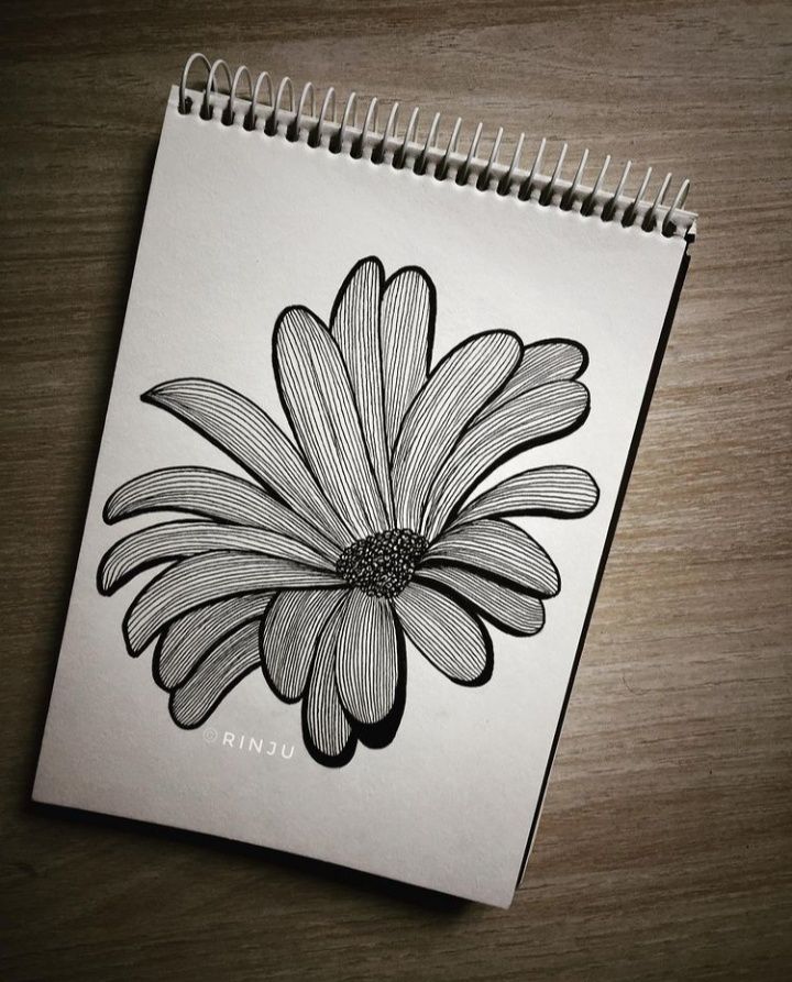 Black and white daisy sketch on a spiral notebook, placed on a wooden surface. Detailed petal lines emphasize artistic style.