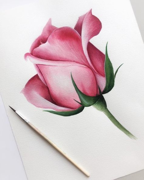 Pink rose watercolor painting on white paper with a brush, showcasing delicate petals and vibrant green leaves for nature-inspired art lovers.
