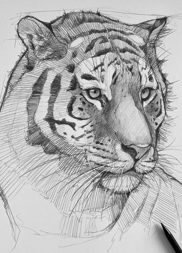 79a9f233-51f1-47b0-8531-4e66b5a50f76 | Sky Rye Design