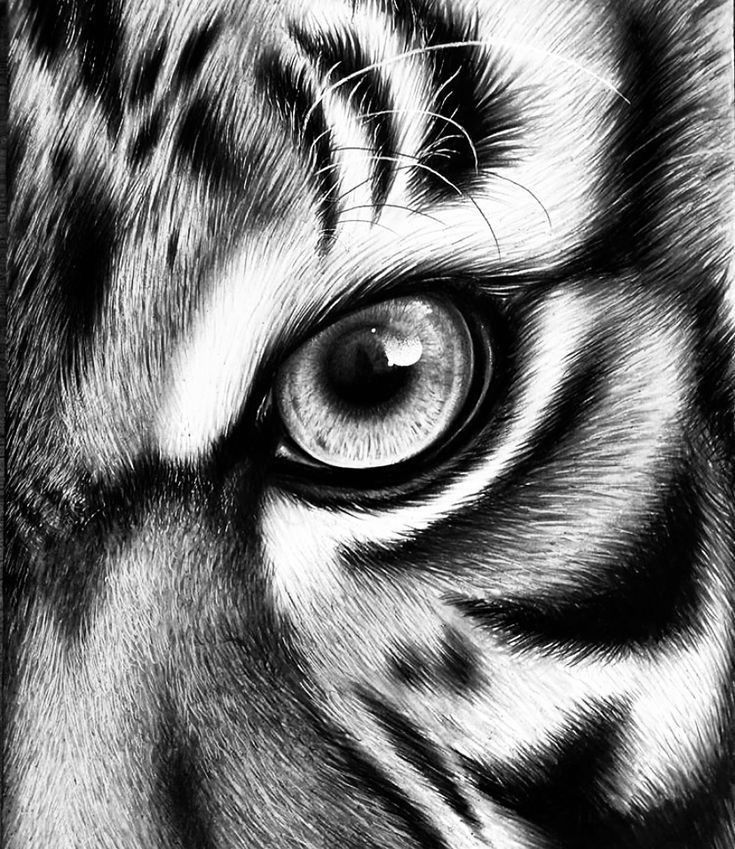 7b0a3934-cab4-4f4b-94bd-2415756205ed | Sky Rye Design