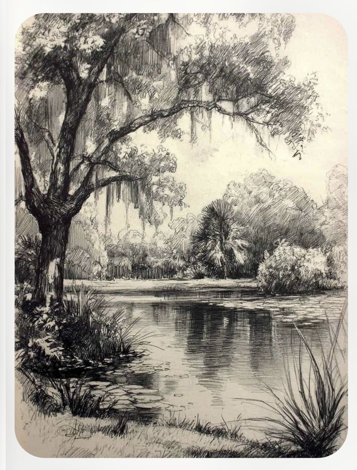 Screenshot Black and white illustration of a tranquil lakeside scene with trees and foliage, reflecting in the water, creating a peaceful natural setting. | Sky Rye Design Black and white illustration of a tranquil lakeside scene with trees and foliage, reflecting in the water, creating a peaceful natural setting.