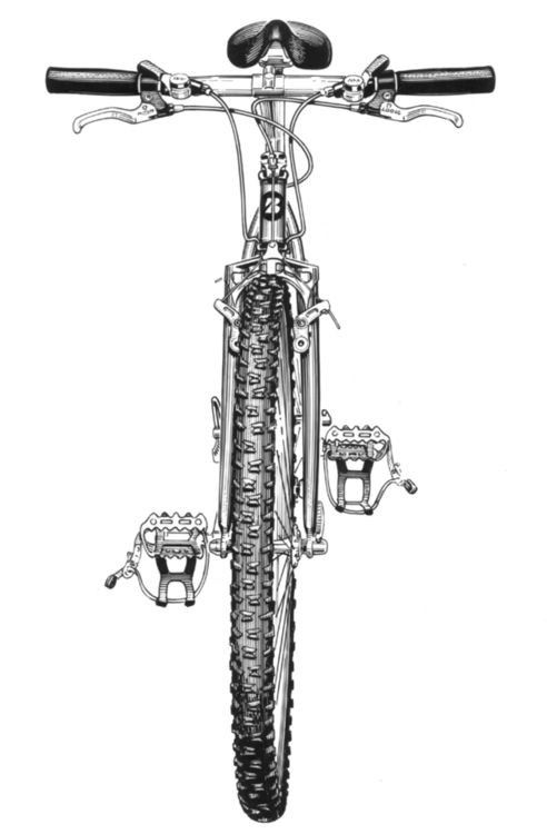 _ 9 Front view illustration of a mountain bike with knobby tires, handlebars, pedals, and detailed components, on a white background. | Sky Rye Design Front view illustration of a mountain bike with knobby tires, handlebars, pedals, and detailed components, on a white background.