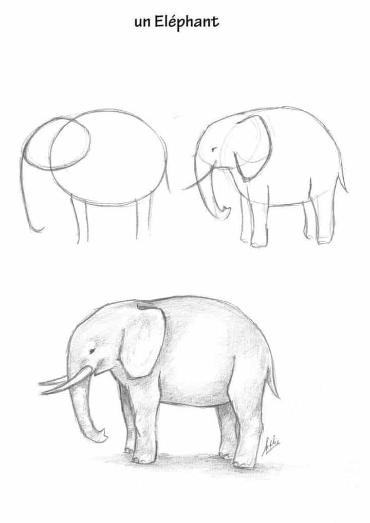 _ 90 Simple step-by-step sketch guide of drawing an elephant, showcasing stages from basic shapes to a detailed pencil illustration. | Sky Rye Design Simple step-by-step sketch guide of drawing an elephant, showcasing stages from basic shapes to a detailed pencil illustration.