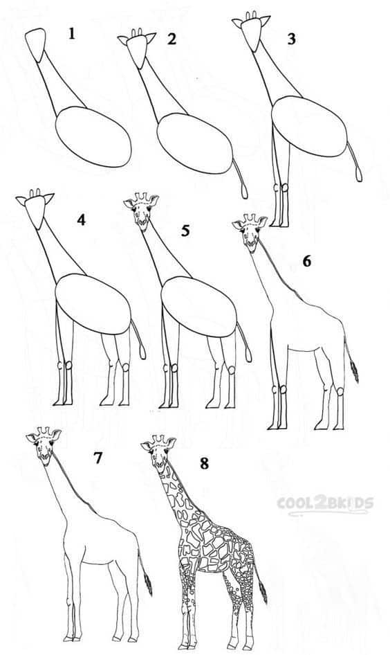 _ 91 Step-by-step guide to drawing a giraffe, from basic shapes to detailed patterns, in eight illustrated stages. | Sky Rye Design Step-by-step guide to drawing a giraffe, from basic shapes to detailed patterns, in eight illustrated stages.