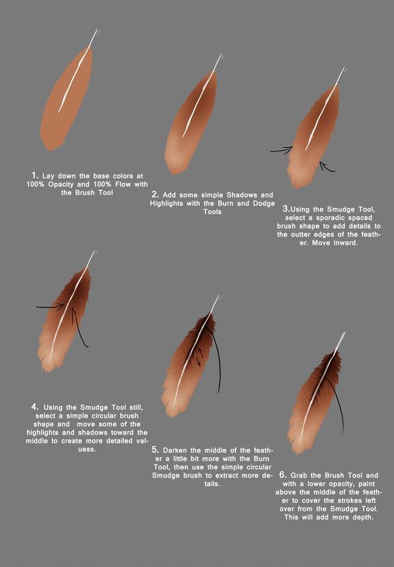 _ 92 Digital feather drawing tutorial with step-by-step instructions using brush, smudge, burn, and dodge tools to add highlights and shadows. | Sky Rye Design Digital feather drawing tutorial with step-by-step instructions using brush, smudge, burn, and dodge tools to add highlights and shadows.